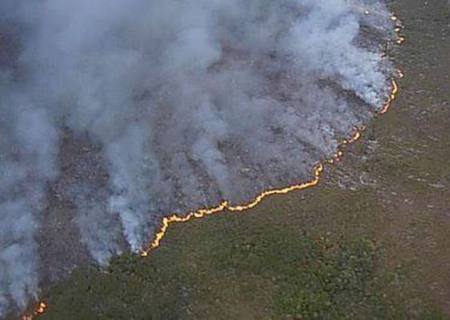 Incêndio florestal atinge há três dias área do Parque Monte Pascoal