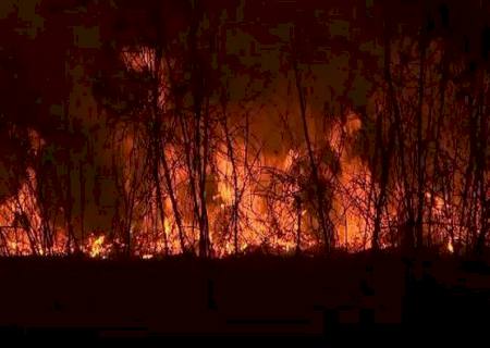 Bolsonaro muda decreto que limita uso de queimadas